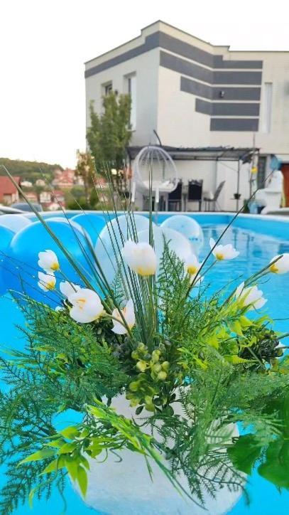 Villa Lea Tuzla Exteriér fotografie